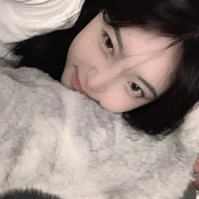 森林